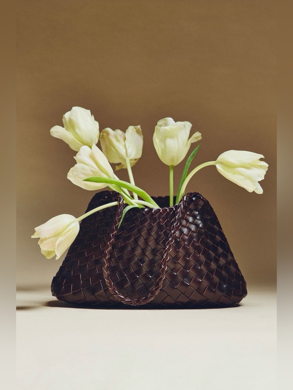 Anthropologie Calla Woven Shoulder Bag!
